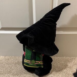 Wicked Elphaba Black Witch Hat Hooded Throw
